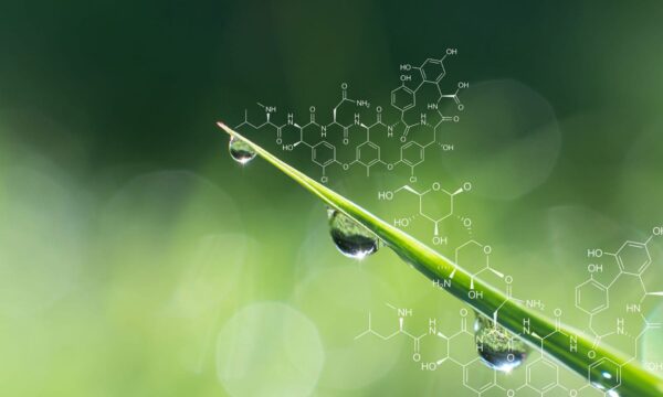 Siembras de Origen outsourced services Bioprospecting