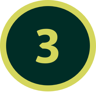 Regis3