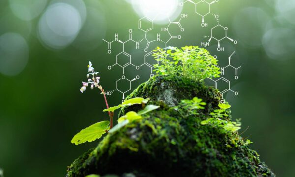 Bioproductos Derivados del Café: Innovaciones y Beneficios Ambientales
