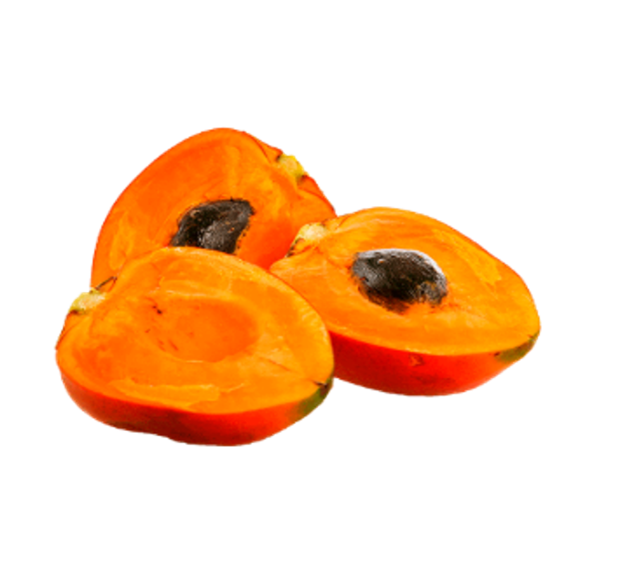 Chontaduro